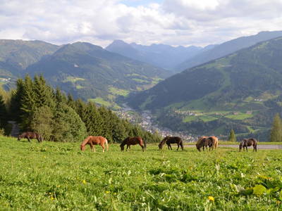 Bild 74 aus  Oberegghof