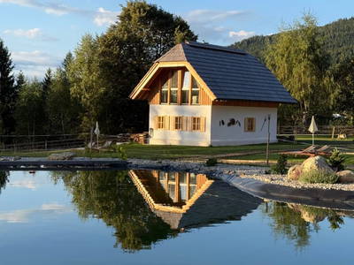 Bild 49 aus  Ebner 1822