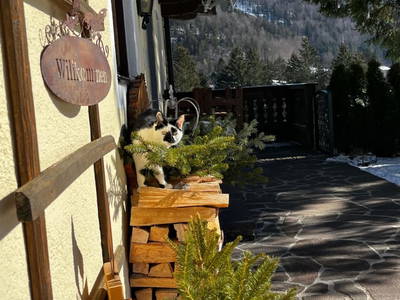 Bild 71 aus  Unterwöhrlehen