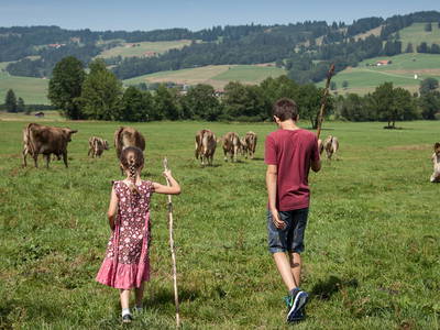 Bild 3 aus  Ferienhof Soyer