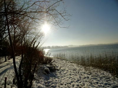 Bild 77 aus  Dichtlhof