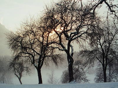 Bild 70 aus  Stanglhof