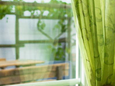 Bild 2 aus  Weinbau und Gästehaus Ringbauer