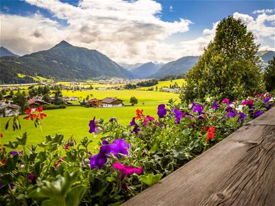 Bild 41 aus Prechtlhof in Flachau