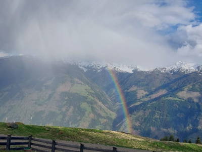 Bild 18 aus  Almhütte Huber