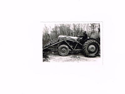 Bild 26 aus  Urlaubs - Weingut Kriegl