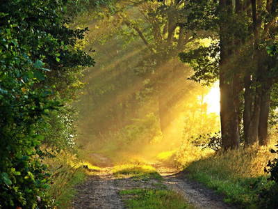 Bild 27 aus  Testhof UaB NÖ