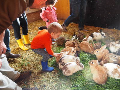 Bild 14 aus  Wieshof