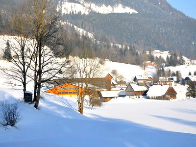 Bild 22 aus Bio Bauernhof - Haim - Schnepfleitner