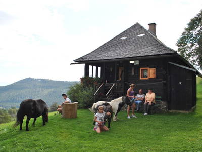 Bild 42 aus  Ferienhütte Alte Mühle
