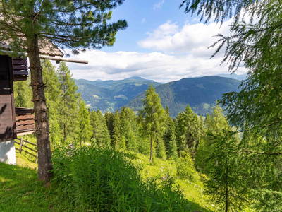 Bild 22 aus  Neuwirth Hütte