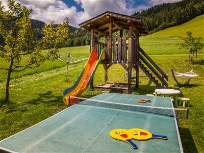 Bild 37 aus Prechtlhof in Flachau