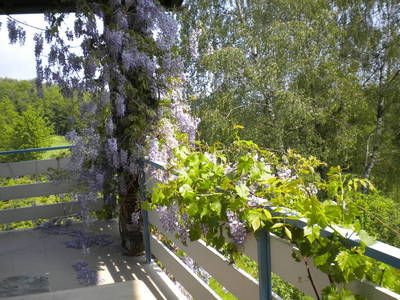 Bild 32 aus  Gästezimmer Weiß