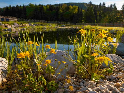 Bild 118 aus  Pircherhof - Adults Only am Biobauernhof