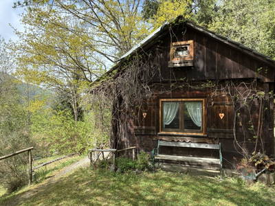 Bild 101 aus  Kräutlhütte Auer