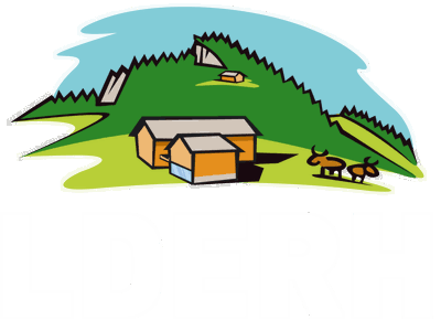 Bild 93 aus  Ferienhof-Felder