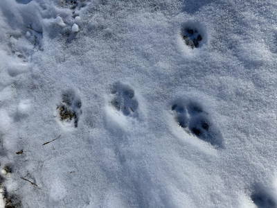 Bild 171 aus  Glatz Hof