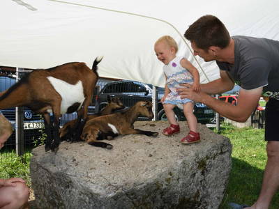 Bild 113 aus  Feriengut Unterhochstätt