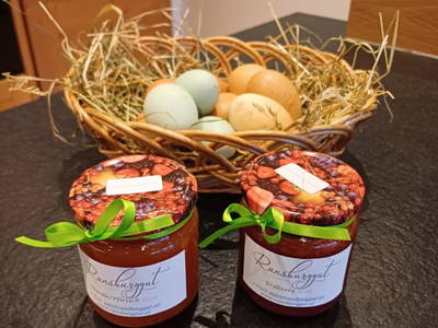 Bild 188 aus  Ferienhof Ransburggut