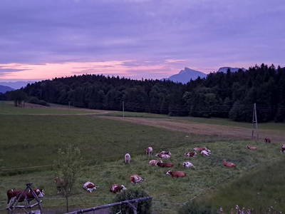 Bild 20 aus  Obergrünwaldgut