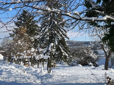 Bild 20 aus  Naturgartenurlaub - Steffis Ferienwohnungen