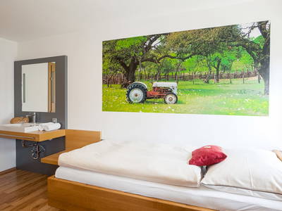 Bild 19 aus  Auszeit am Ziegenhof Gaferhelm nur für Erwachsene