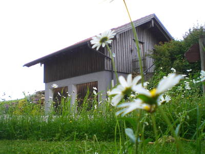 Bild 2 aus  Himetsberger