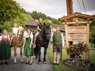 Bild 2 aus  Forstbauer