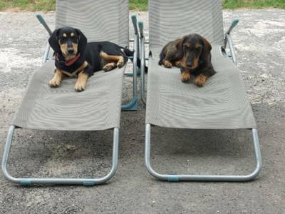 Bild 32 aus  Krieglhütte