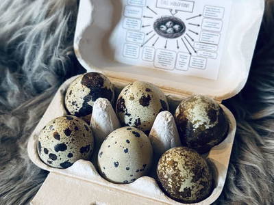 Bild 188 aus  Erbhof Hinting + Appartementhaus Hinting