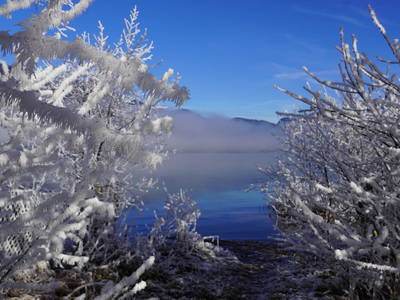 Bild 156 aus Am Linahof