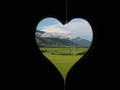 Bild 81 aus  Erlachhof