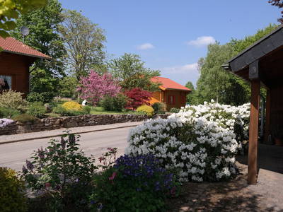 Bild 14 aus  Thelenshof