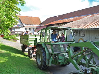 Bild 7 aus  Ferienhof Neue Mühle