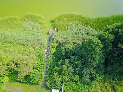 Bild 34 aus  Gestüt Hof am See