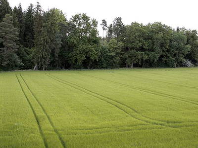 Bild 14 aus  Gästehaus Bergmoarhof