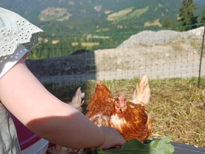 Bild 49 aus  Vorderzettn