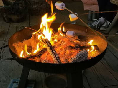 Bild 15 aus  Bio Weinbauernhof Wiesinger