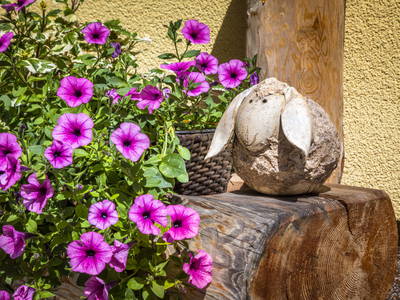 Bild 77 aus  Neuhaus