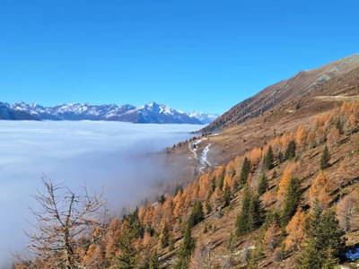 Bild 33 aus  Almhütte Pucher