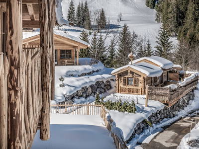 Bild 46 aus  Benglerwald Berg Chaletdorf