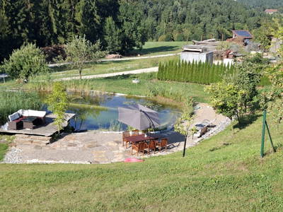 Bild 52 aus  Hausmi