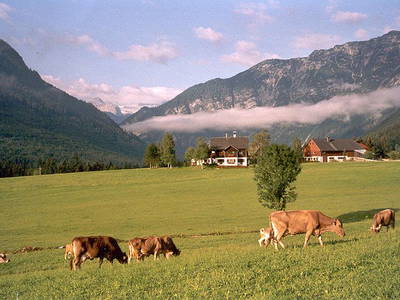 Bild 163 aus  Stanglhof