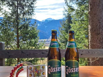 Bild 23 aus  Prechtlerhütte