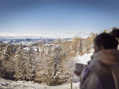 Bild 133 aus  Landhotel Spreitzhofer - Braunhof