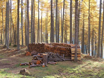 Bild 10 aus  Almerlebnisse Messner