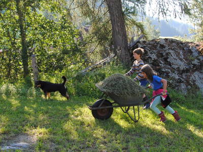 Bild 85 aus  Sturm-Archehof