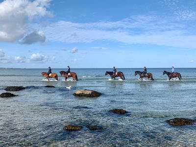 Bild 18 aus  Gut Friederikenhof