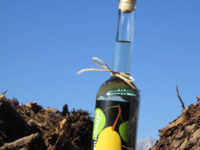 Bild 49 aus  Ferienhof Gressenbauer