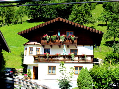 Bild 46 aus Bio - Bauernhof TORBAUER